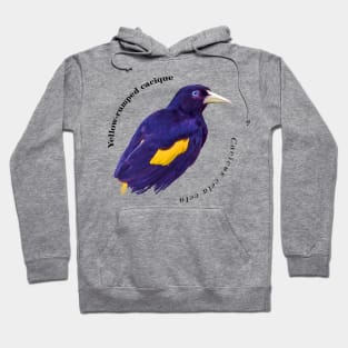 Yellow-rumped cacique tropical bird pin Hoodie